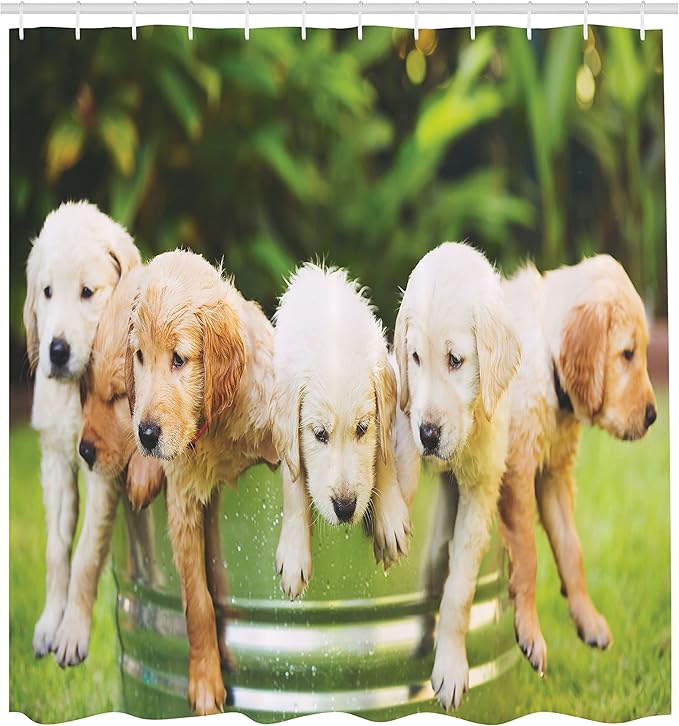Ambesonne Dog Lover Shower Curtain, Group of Funny Little Golden Retriever Puppies in The Back Yard Spring Family Fried Photo, Cloth Fabric Bathroom Decor Set with Hooks, 69" W x 70" L, Green Beige