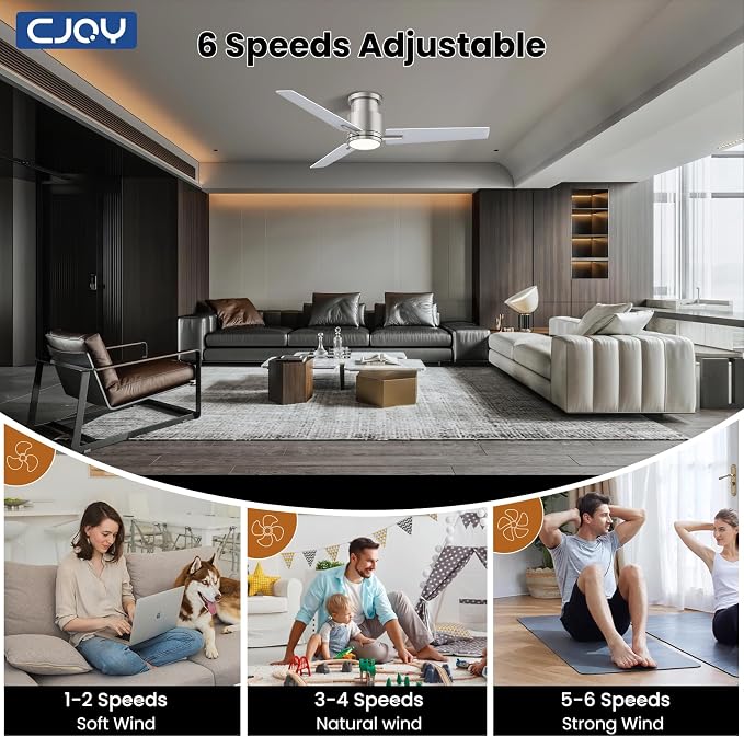 CJOY Ceiling Fan with Lights, 48 Inch Low Profile Ceiling Fans with Light and Remote, Reversible DC, Flush Mount, 3CCT，Dimmable, Modern Indoor/Outdoor Design for Bedroom, Living Room, Patio, Kitchen