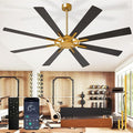 Large Ceiling Fan No Light: Modern 72 Inch 8 Blade Outdoor Ceiling Fans with Remote APP Control - Black Gold Big Fan without Light Indoor Reversible 6 Speed Quiet DC Motor