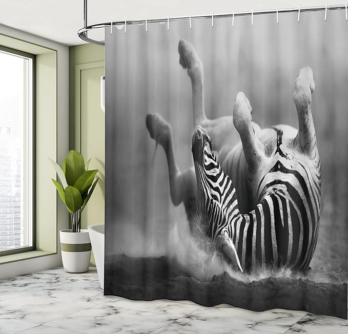 Ambesonne Africa Shower Curtain, Zebra Rolling in The Dust Savage Animal Mammal Activity Eco Photo, Cloth Fabric Bathroom Decor Set with Hooks, 69" W x 75" L, Black and White