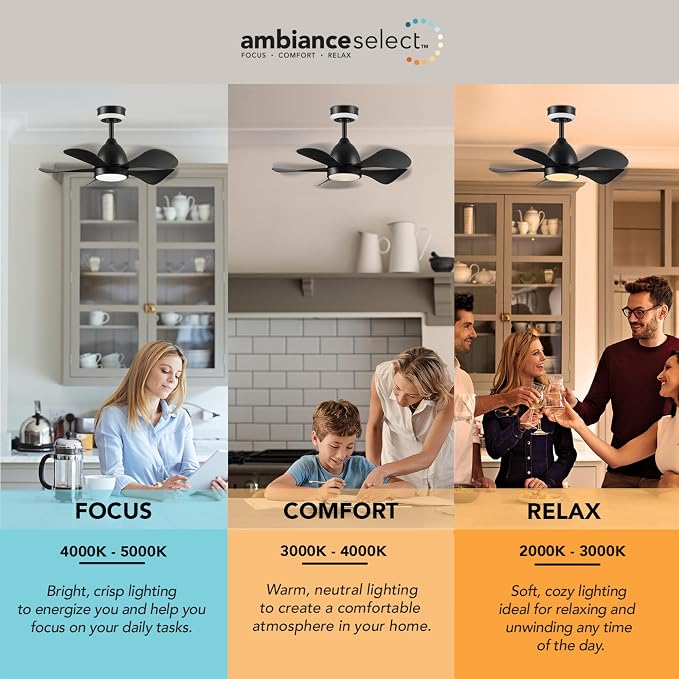 Globe Electric 37000106 30" Ceiling Fan with LED Light, Nightlight, Remote Control, WhisperQuiet DC Motor, 6 Speeds, Matte Black