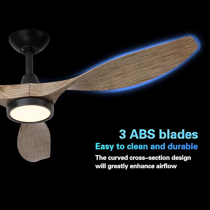 Roomratv Ceiling Fans with Lights,52 Inch,Quiet & Strong Motor,6 Speeds,3CCT,Timer,Easy to Install,Black Modern Ceiling Fan for Living Room,Bedroom,Kitchen,Office,Farmhouse,Patios