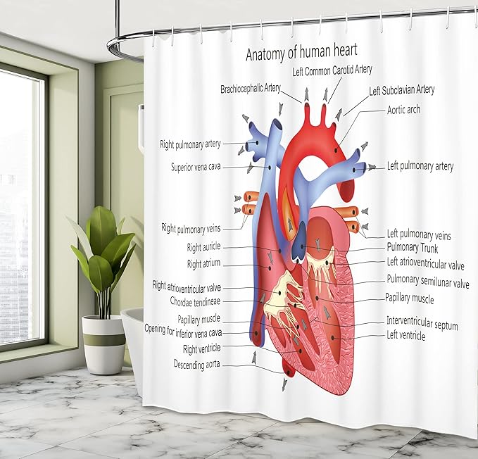 Ambesonne Science Shower Curtain, Structure of The Heart Human Body Anatomy Organ Veins Cardiology, Cloth Fabric Bathroom Decor Set with Hooks, 69" W x 70" L, Coral Red