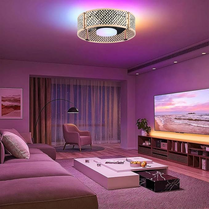 Ganeed 20" Boho Caged Fandelier with Lights, 18W Dimmable LED Rattan Ceiling Fan with Lights and Remote Control, Enclosed 6 Speeds RGB Low Profile Bamboo Fan Light for Bedroom, Living Room, Kitchen