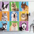 Ambesonne Animal Shower Curtain, Various Dog and Cat Portraits Puppies Kittens Pet Company Funny Humor Design, Cloth Fabric Bathroom Decor Set with Hooks, 69" W x 70" L, Green Blue
