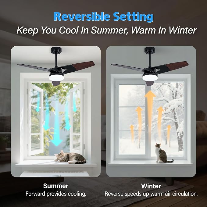 Ceiling Fan with Lights and Remote, 3 Blade App Control Timer Reversible Stepless Brightness and Color Temperature Outdoor Wood Ceiling Fan with Lights (Black, 42 In'ch)