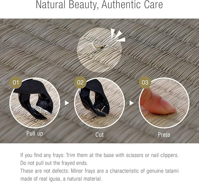 Asayu Mini Tatami mat Made of Real Igusa Rush Grass, Made in Japan, for Bonsai, Doll Stand, Coaster, Incense Holder (Black)