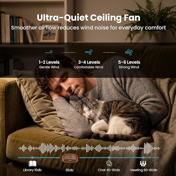 20" Flush Mount Ceiling Fan with Light, Wooden Caged Low Profile Fandelier with Remote, 6-Speed Reversible Bladeless Fan, Farmhouse Ceiling Fan for Bedroom, Kitchen, Living Room