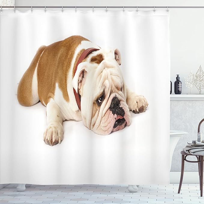 Ambesonne English Bulldog Shower Curtain, Sad and Tired Bulldog Laying Down European Pure Breed Animal Photography, Cloth Fabric Bathroom Decor Set with Hooks, 69" W x 70" L, Cream Brown