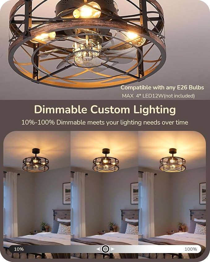 EDISHINE 20 Inch Fandelier Caged Ceiling Fans with Lights and Remote, 10%-100% Dimmable, Rustic Bladeless Ceiling Fan, Small Farmhouse Fan Lights Ceiling Fixtures for Kitchen, Bedroom-Brushed Gold