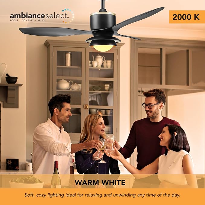 Globe Electric 27106 48" Ceiling Fan with LED Light, Remote Control, WhisperQuiet DC Motor, 6 Speeds, Black with Brass Accents, Reversable Airflow, Ceiling Fans with Lights, Ceiling Lighting