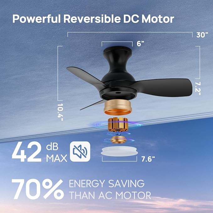 Consciot Ceiling Fan With Lights 30 Inch, Kids Ceiling Fan Black Modern, Flush Mount, Reversible Quiet DC Motor, 6 Speed, Dimmable, Kitchen Bedroom Patio