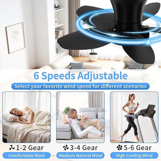 25" Small Ceiling Fans with Lights & Remote,6 Speeds Reversible Flush Mount | 5 Blades, Adjustable Color Temperature, Dimmable, Timer, Low Noise for Bedroom, Kitchen, Study, Laundry Room, Black