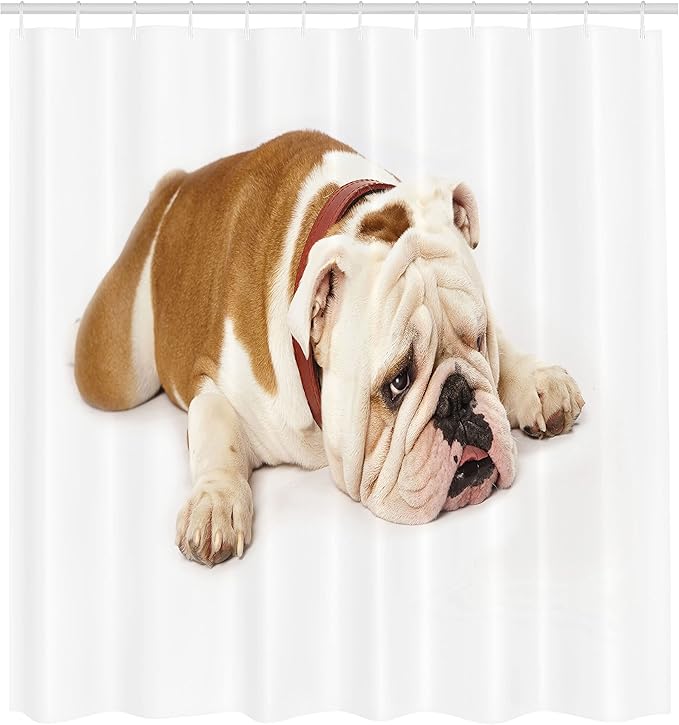 Ambesonne English Bulldog Shower Curtain, Sad and Tired Bulldog Laying Down European Pure Breed Animal Photography, Cloth Fabric Bathroom Decor Set with Hooks, 69" W x 70" L, Cream Brown