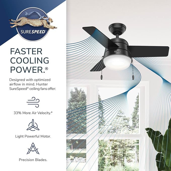 Hunter Aker, Indoor, Ceiling Fan, Modern, Small, 36 inch, Brushed Nickel