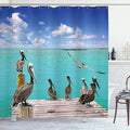 Ambesonne Landscape Shower Curtain, Tropical Sea View with Exotic Birds Pelicans Caribbean Beach Tranquil Photo, Cloth Fabric Bathroom Decor Set with Hooks, 69" W x 70" L, Blue Aqua