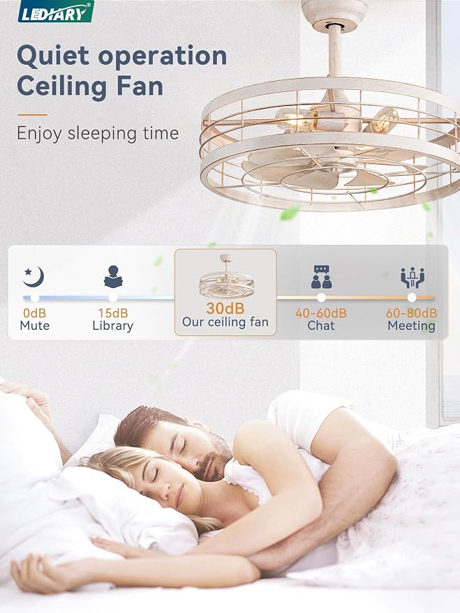 LEDIARY 22 inch Caged Ceiling Fan with Light, Bladeless Industrial Ceiling Fan with Remote, Farmhouse Fan Lights Ceiling Fixtures for Kitchen, Bedroom, Outdoor（6 Speed, Timing）-White and Gold