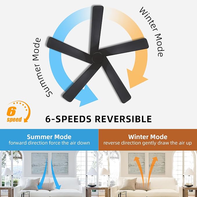 WINGBO 48" DC Ceiling Fan No Light - 5 Carved Solid Wood Blades, 6-Speed Reversible DC Motor, Ceiling Fan without Lights for Living Room Bedroom Kitchen Patio, Indoor and Outdoor, Matte Black
