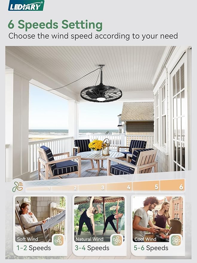 LEDIARY 24" Outdoor Ceiling Fan with Lights,IP65 Waterproof Gazebo Hanging Fan with Remote Control Smart App, Plug in Caged Ceiling Fan with 3CCT 6-Speeds for Patio Porch Pergola(Black)