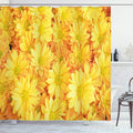 Ambesonne Yellow Flower Shower Curtain, Lively Daisies Fresh Bouquets with Natural Seasonal Bedding Plant Petals, Cloth Fabric Bathroom Decor Set with Hooks, 69" W x 70" L, Marigold Yellow