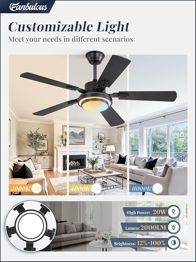 Fanbulous 48 Inch Ceiling Fans with Lights and Remote, Black Ceiling Fan with 8 Dual-Color Blades, Indoor/Outdoor Large Ceiling Fans, Reversible DC Motor, 6-Speed, 3CCT for Living Room Kitchen Patio