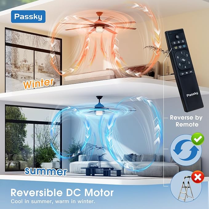 Passky Ceiling Fans with Lights, 72 inch Black Ceiling fan with Light and Remote Control, Reversible, Dimmable, 3CCT, Quiet, Caged Ceiling Fan for Farmhouse, Bedroom, Living Room, Indoor/Outdoor Use