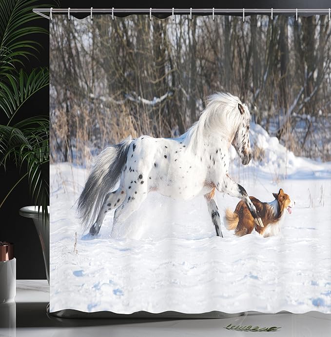 Ambesonne Horses Shower Curtain, Appaloosa Pony and Sable Border Collie Runs Gallop in Winter Photo Print, Cloth Fabric Bathroom Decor Set with Hooks, 69" W x 70" L, Brown White