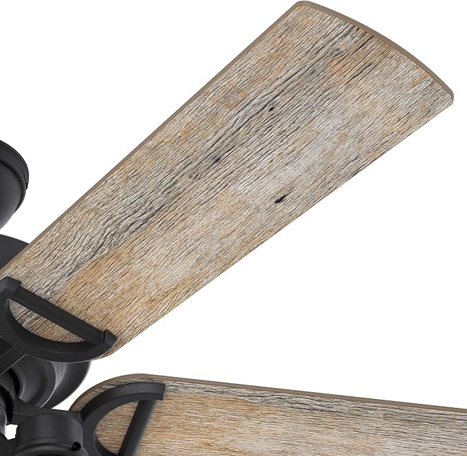 Hunter Starklake, Outdoor or Indoor, 5 Blades, 52 inch, Natural Black Iron
