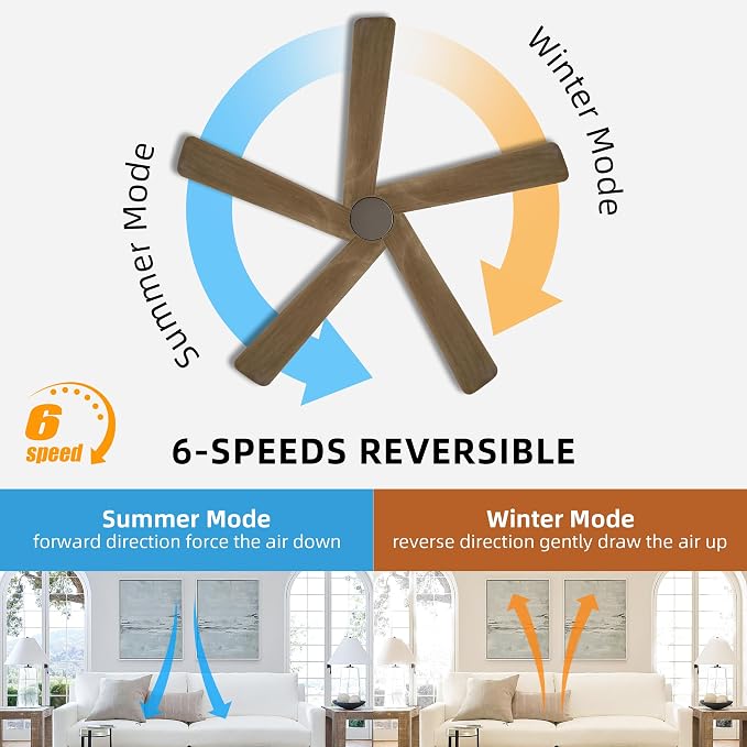 WINGBO 48" DC Ceiling Fan No Light - 5 Carved Solid Wood Blades, 6-Speed Reversible DC Motor, Ceiling Fan without Lights for Living Room Bedroom Kitchen Patio, Indoor and Outdoor, Graphite and Gray