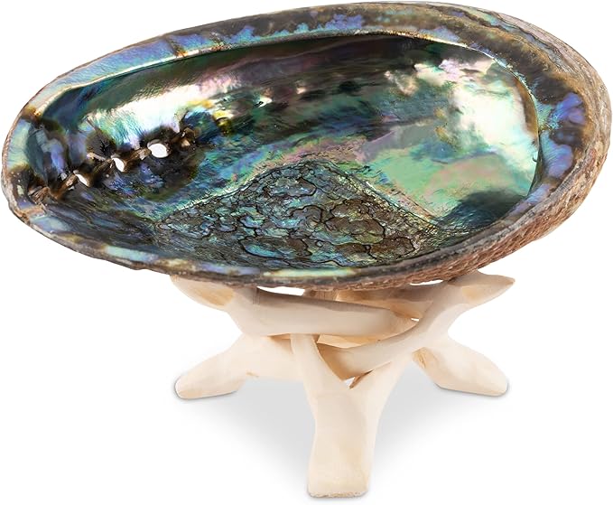 Wish Well Natural Abalone Shell 5-6 Inch Large with Wooden Stand - Incense Holder and Sage Smudge Bowl for Cleansing, Smudging, and Meditation - Palo Santo Holder & Beautiful Home Decor