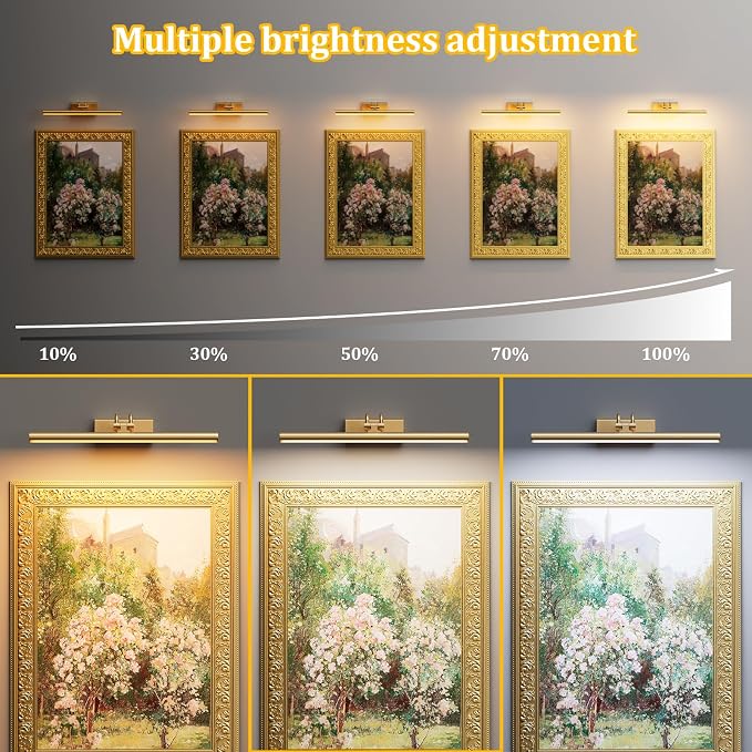 Battery Operated Wall Light for Living Room, 4000mAh Picture Light for Wall Set of 2, Remote & Touch Control, 3 Color Temps, Display for Gallery, Living Room, Bedroom(Gold)