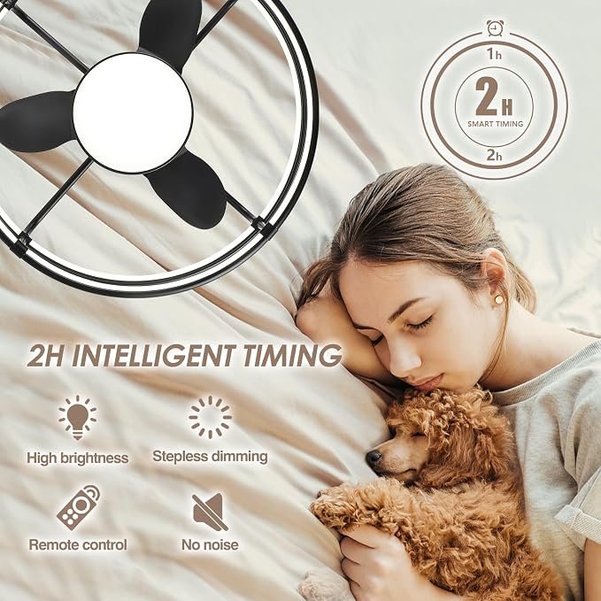 SHIHOT 20" Caged Ceiling Fans with Lights - Bladeless Black Ceiling Fans with Remote, Reversible and Dimmable,Industrial Ceiling Fans with 6-Speed for Bedroom Kitchen