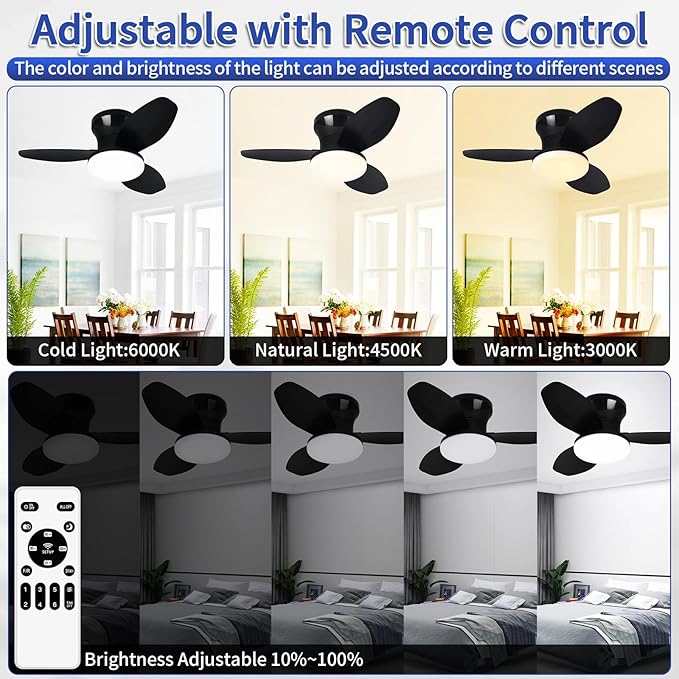 Small Ceiling Fan with Lights, 25" Flush Mount with Remote Control | Reversible Quiet DC Motor,Black,3 Blades,6 Speeds,Dimmable LED,Adjustable Color Temperature,Timer,for bedroom Kitchen indoor