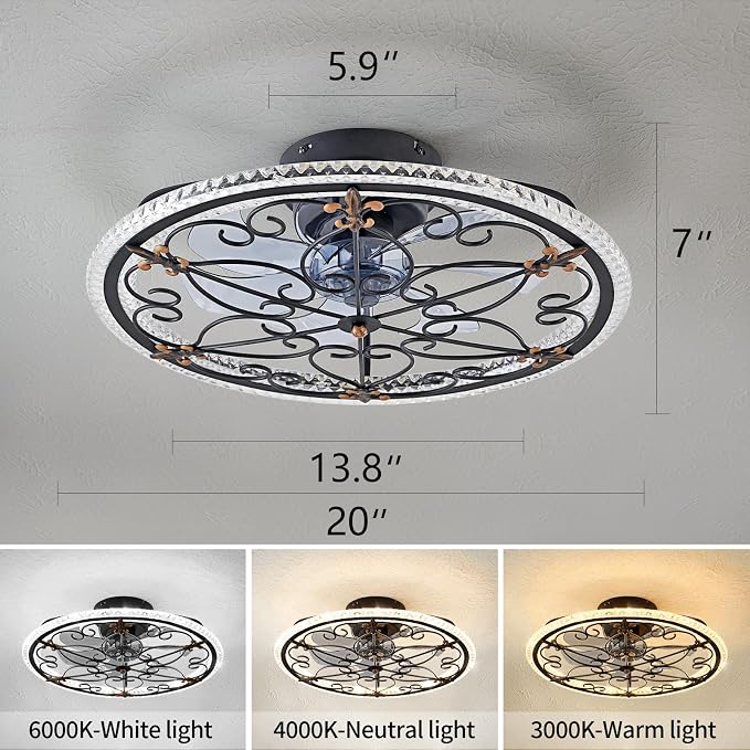 Dalouguan Rustic Black Caged Ceiling Fan with Light, Farmhouse Caged Ceiling Fan with Remote, LED Low Profile Ceiling Light for Bedroom Kitchen Living Room