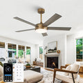 48 Inch Gold Ceiling fans with Lights and Remote/APP, Modern Black and Gold Ceiling Fan for Indoor Bedroom Living Room with 3CCT, Reversible DC Motor, 6 Speeds, Timer, 5 Wood Grain Blades