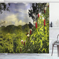 Ambesonne Forest Shower Curtain, Rural Scenery Costa Rica Countryside Greenery Tropic Accents Botanical, Cloth Fabric Bathroom Decor Set with Hooks, 69" W x 84" L, Green Red Violet Blue