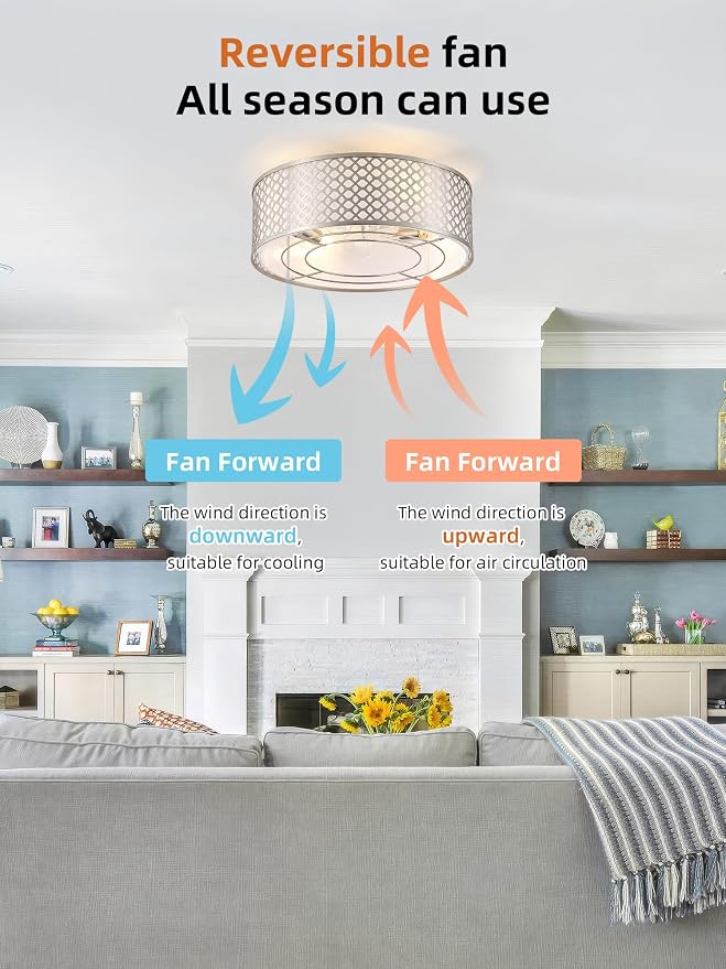 20" Silver Ceiling Fan with Light Flush Mount, Caged Boho Ceiling Fans with Lights Remote Control, Round with 6 Speeds for Bedroom, Nursery, Living Room