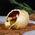 MOUGIGI Mini Conch Chiminea Palo Santo Burner - Ceramic Smudging Bowl/Incense Chimney Works with Palo Santo Sticks/Sage/Copal,Tabletop Altar, Thoughtful Gifts for Meditation, Yoga, Aromatherapy