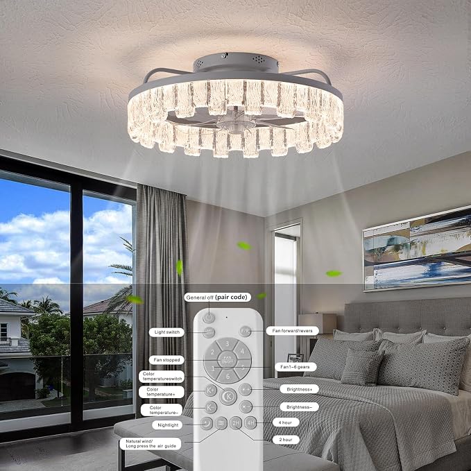Dalouguan Rustic Silver Caged Ceiling Fan with Light, Personalized Fashion Ceiling Fan Remote Control with Acrylic, LED Low Profile Ceiling Light for Bedroom Kitchen Living Room