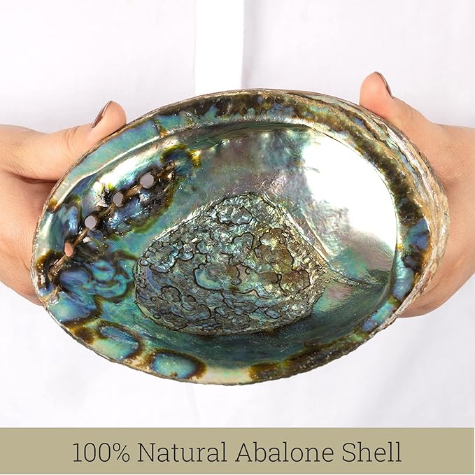 Wish Well Natural Abalone Shell 5-6 Inch Large with Wooden Stand - Incense Holder and Sage Smudge Bowl for Cleansing, Smudging, and Meditation - Palo Santo Holder & Beautiful Home Decor