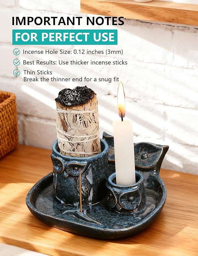 Comeon Palo Santo Holder, 4 in 1 Ceramic Owl Backflow Incense Burner Holder Candle Holder Sage Holder for Burning Bow(Blue)