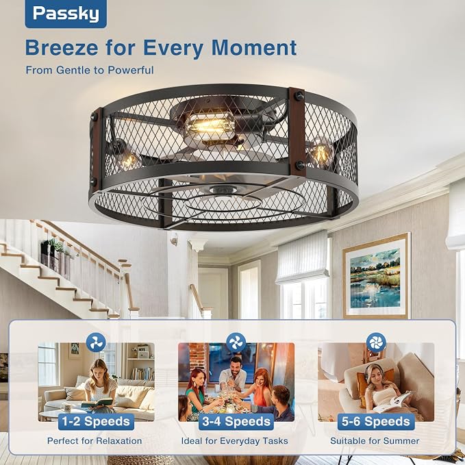 Passky 20" Farmhouse Flush Mount Ceiling Fans with Lights and Remote, Industrial Black Caged Low Profile Fandelier, 6 Speeds Bladeless Ceiling Fan for Bedroom, Kitchen, Living Room
