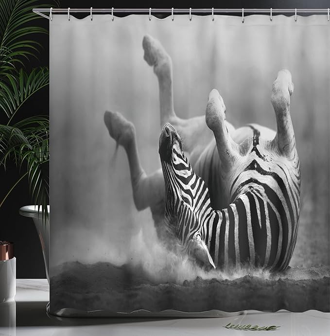 Ambesonne Africa Shower Curtain, Zebra Rolling in The Dust Savage Animal Mammal Activity Eco Photo, Cloth Fabric Bathroom Decor Set with Hooks, 69" W x 70" L, Black and White