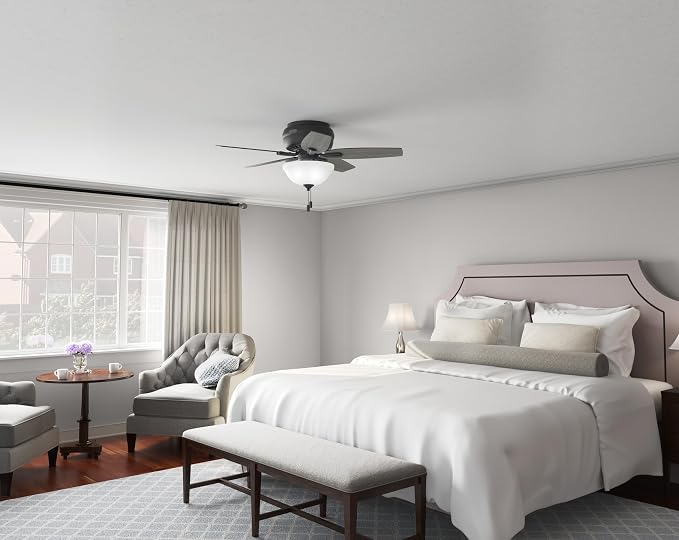 Hunter Newsome, Indoor, Ceiling Fan, with LED Light, 42 inch, Matte Black