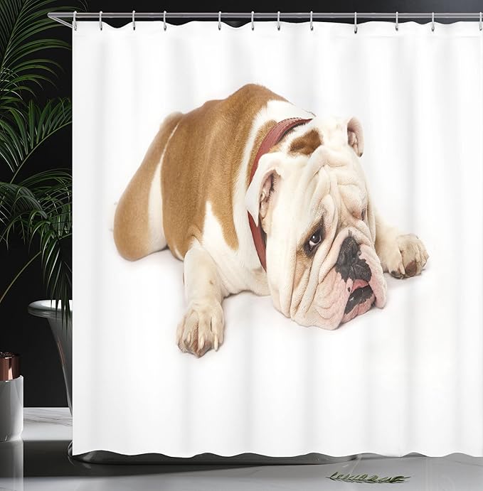 Ambesonne English Bulldog Shower Curtain, Sad and Tired Bulldog Laying Down European Pure Breed Animal Photography, Cloth Fabric Bathroom Decor Set with Hooks, 69" W x 70" L, Cream Brown