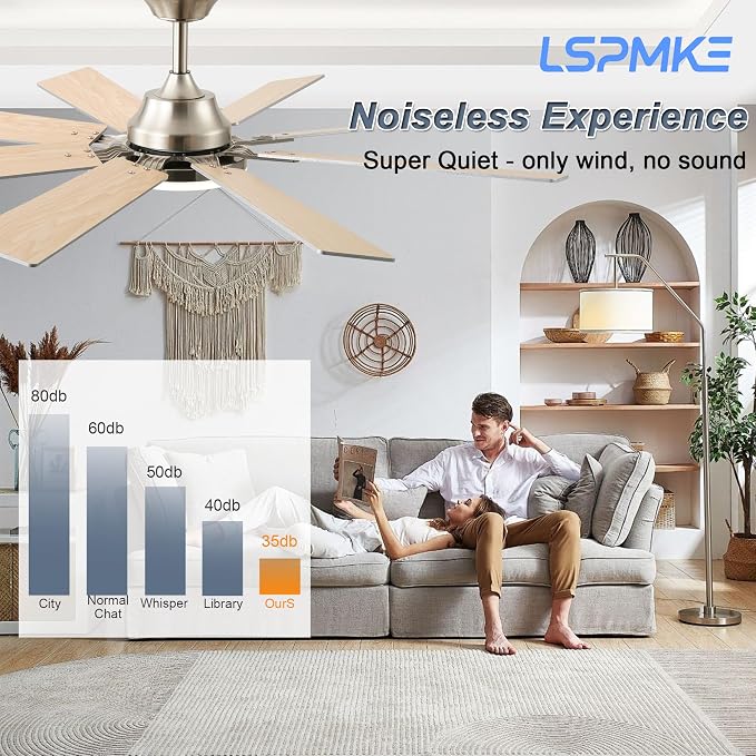 Ceiling Fan With Light & Remote Indoor/Outdoor Use 52 Inch Nickel | Reversible DC Motor,3CCT, Dimmable, Timer, Noiseless,Ceiling Fan for Bedroom Living Room
