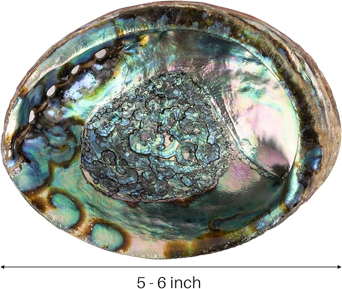 Wish Well Natural Abalone Shell 5-6 Inch Large with Wooden Stand - Incense Holder and Sage Smudge Bowl for Cleansing, Smudging, and Meditation - Palo Santo Holder & Beautiful Home Decor