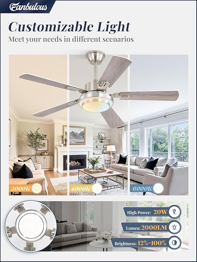 Fanbulous 48 Inch Ceiling Fans with Lights and Remote, Brushed Nickel Ceiling Fan with 8 Dual-Color Blades, Indoor/Outdoor Large Ceiling Fans, Reversible DC Motor, 6-Speed, 3CCT for Living Porch Patio