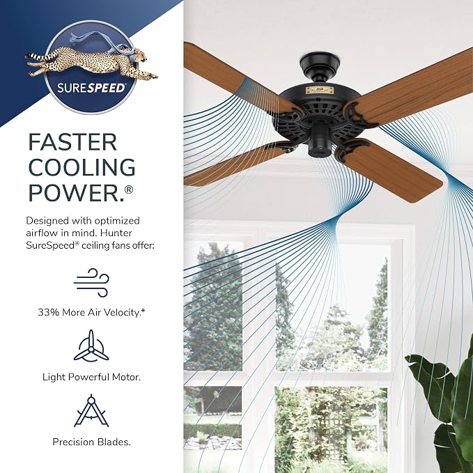 Hunter 52 inch Outdoor or Indoor Ceiling Fan No Light - Black Ceiling Fan without Light, For Patio, Porch, Garage, Living Room, Standard Mount, 5 Teak Blades, Pull Chain - Original 23863, Matte Black