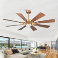 60 inch Gold Ceiling Fan, Indoor & Outdoor Large Ceiling Fans with Lights and Remote, 8 Blades, Quiet DC Motor, High Ceiling Fan for Kitchen Living Room Garage, 3 CCT, 6 Speed, Timer
